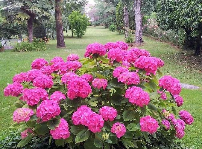 Attico Con Terrazza Marianna شقة